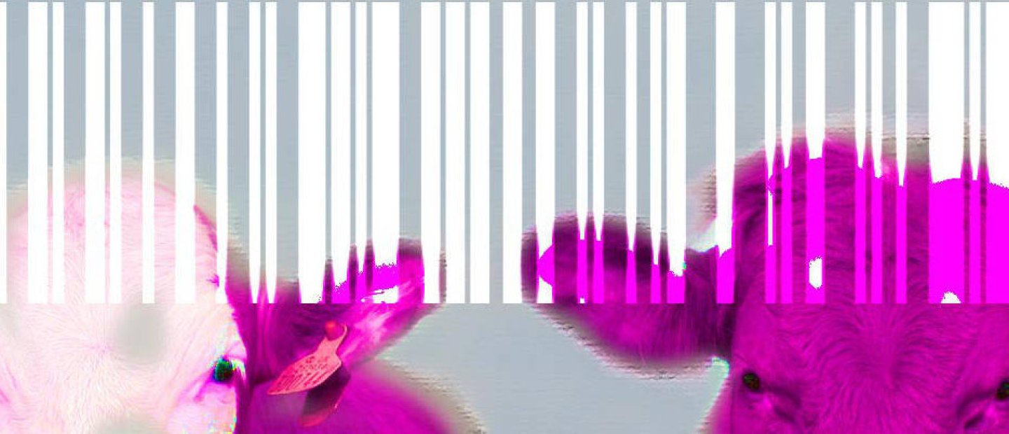 Kunstregion Headerbild